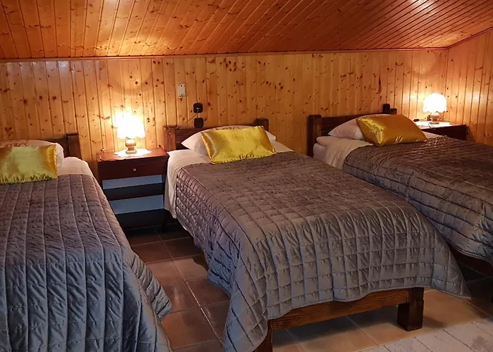 Marko Polo זאדאר